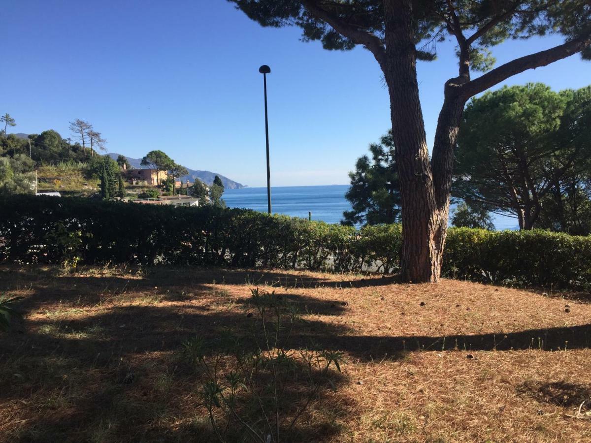Il Nido Della Gazza Monterosso al Mare Exterior foto